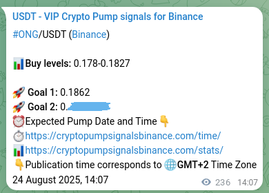Authenticated proof of ONG's pump signal on Binance, 24 August 2025, 20:41