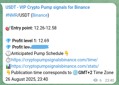 Market signal verification: NMR on Binance at 26 August 2025, 23:49 Market signal verification: NMR on Binance at 26 August 2025, 23:49