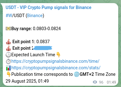 Binance pump signal data for W at 29 August 2025, 04:27 Binance pump signal data for W at 29 August 2025, 04:27
