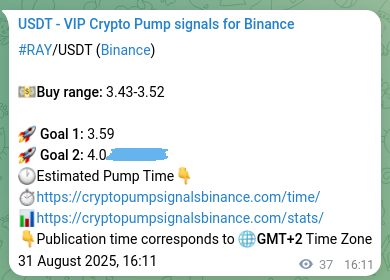 Access the Binance pump signal verification for RAY at 31 August 2025, 17:11 Binance pump signal verification for RAY at 31 August 2025, 17:11