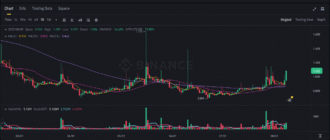 report 20250809 0018 - Report of coin pump on Binance - 09 August 2025