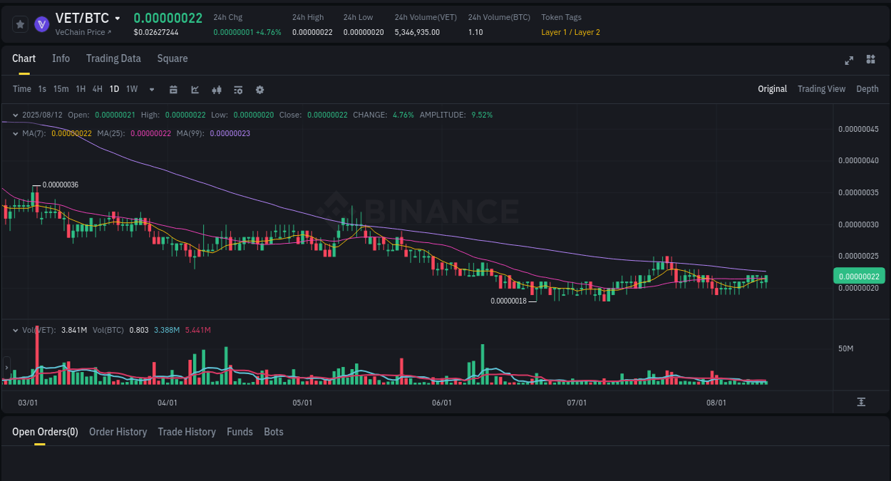 Trading performance: VET pump analysis on Binance, 12 August 2025, 19:32
