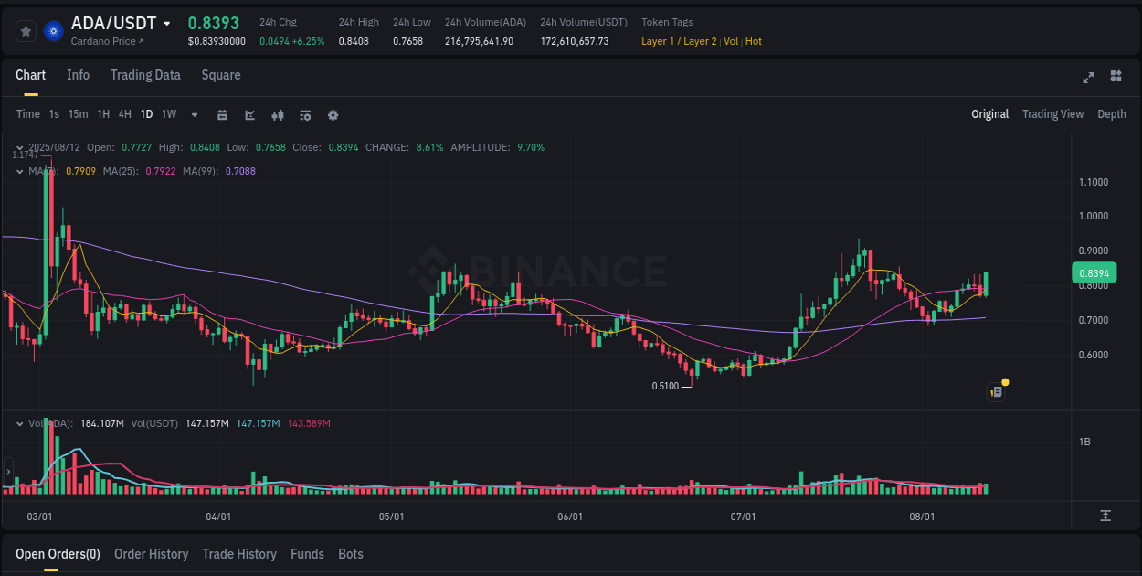 Optimize risk exposure: ADA trading assessment on Binance, 12 August 2025, 20:21 Risk management: ADA trading analysis on Binance, 12 August 2025, 20:21