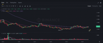 report 20250813 0042 - Report of coin pump on Binance - 13 August 2025