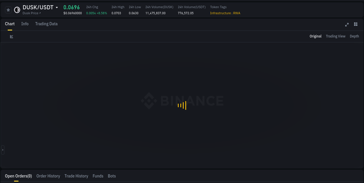 Market efficiency: DUSK price discovery on Binance, 13 August 2025, 11:00
