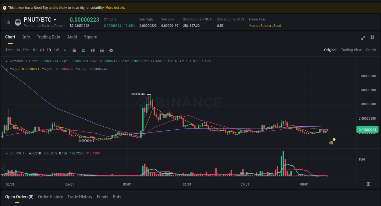 Market pulse analysis: PNUT acceleration on Binance, 13 August 2025, 12:31 Crypto market update: PNUT pump on Binance, 13 August 2025, 12:31