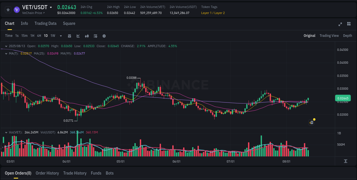 Report of VET pump on Binance at 13 August 2025, 15:37