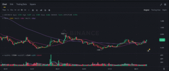 report 20250814 0009 - Report of coin pump on Binance - 14 August 2025