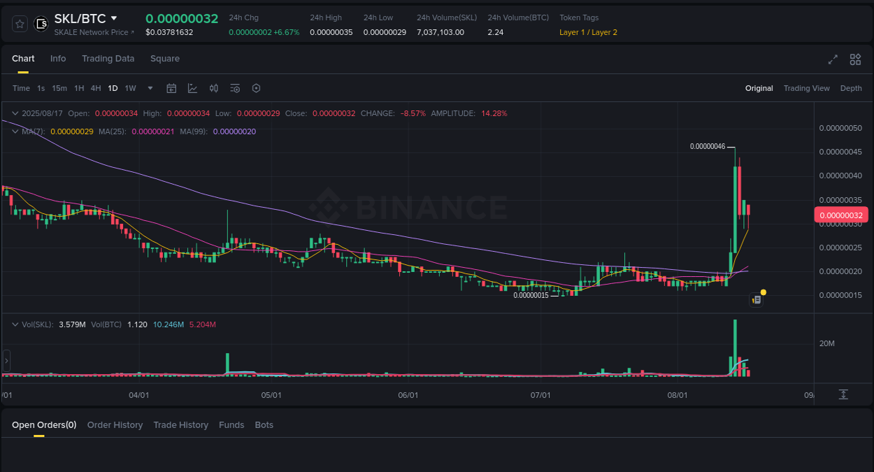 Price discovery insights: SKL rally on Binance, 17 August 2025, 17:32 Trading velocity: SKL pump dynamics on Binance, 17 August 2025, 17:32