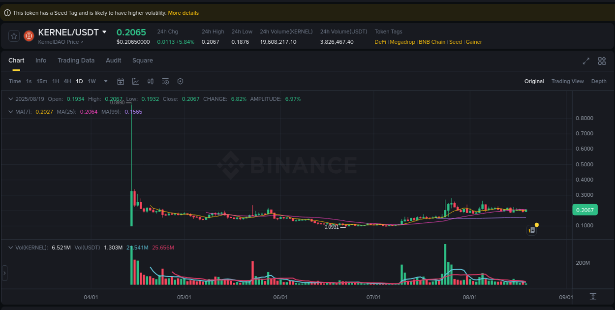 Market analysis: KERNEL pump on Binance at 19 August 2025, 07:17