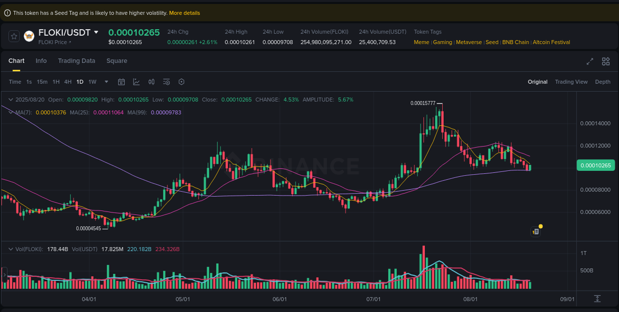 FLOKI trading report showing pump trends on Binance, 20 August 2025, 18:17