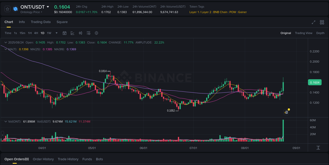 Detailed insights into ONT's pump on Binance at 25 August 2025, 01:35 Detailed report of ONT's pump on Binance at 25 August 2025, 01:35