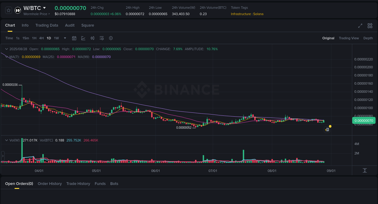 Market flow assessment: W pump on Binance, 28 August 2025, 16:09 Detailed report of W's pump on Binance at 28 August 2025, 16:09