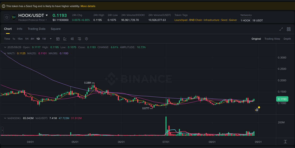 Explore the crypto pump report for HOOK on Binance, 29 August 2025, 17:24 Crypto market report: HOOK pump on Binance, 29 August 2025, 17:24