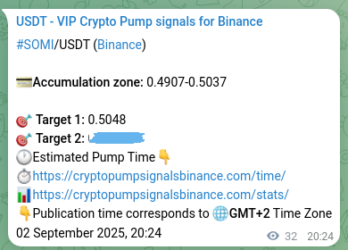 View the trading signal verification for SOMI pump from Binance, 02 September 2025, 21:15 Trading signal verification: SOMI pump from Binance, 02 September 2025, 21:15