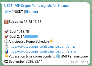 Access the Binance pump signal confirmation for NMR at 02 September 2025, 22:44 Binance pump signal confirmation for NMR at 02 September 2025, 22:44