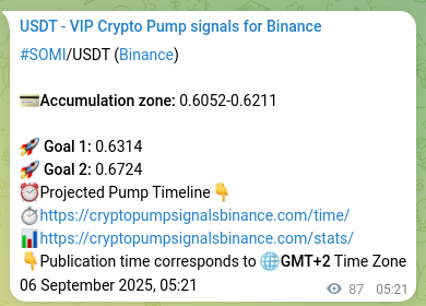 Authenticated proof of SOMI's pump signal on Binance at 06 September 2025, 07:32