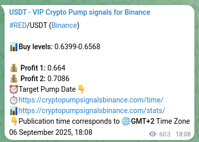 See the verification image for RED pump signal on Binance at 07 September 2025, 10:48 Verification image for RED pump signal on Binance at 07 September 2025, 10:48