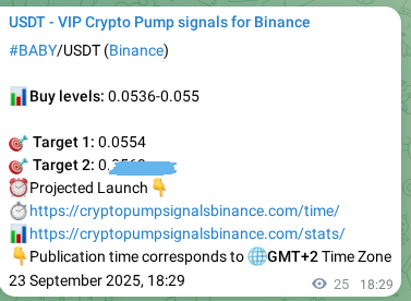 Analytical confirmation: BABY trading signal precision on Binance, 23 September 2025, 19:11