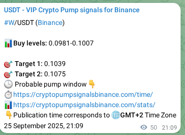 Confirm the trading signal for W pump on Binance at 25 September 2025, 21:39 Trading signal confirmation: W pump on Binance at 25 September 2025, 21:39