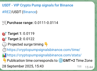 Verify technical execution: REZ signal performance proof on Binance, 28 September 2025, 20:04 Technical authentication: REZ signal execution proof on Binance, 28 September 2025, 20:04