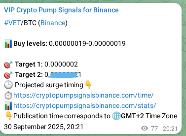 Signal verification: Confirm VET pump on Binance at 30 September 2025, 22:30 Signal verification: VET pump on Binance at 30 September 2025, 22:30