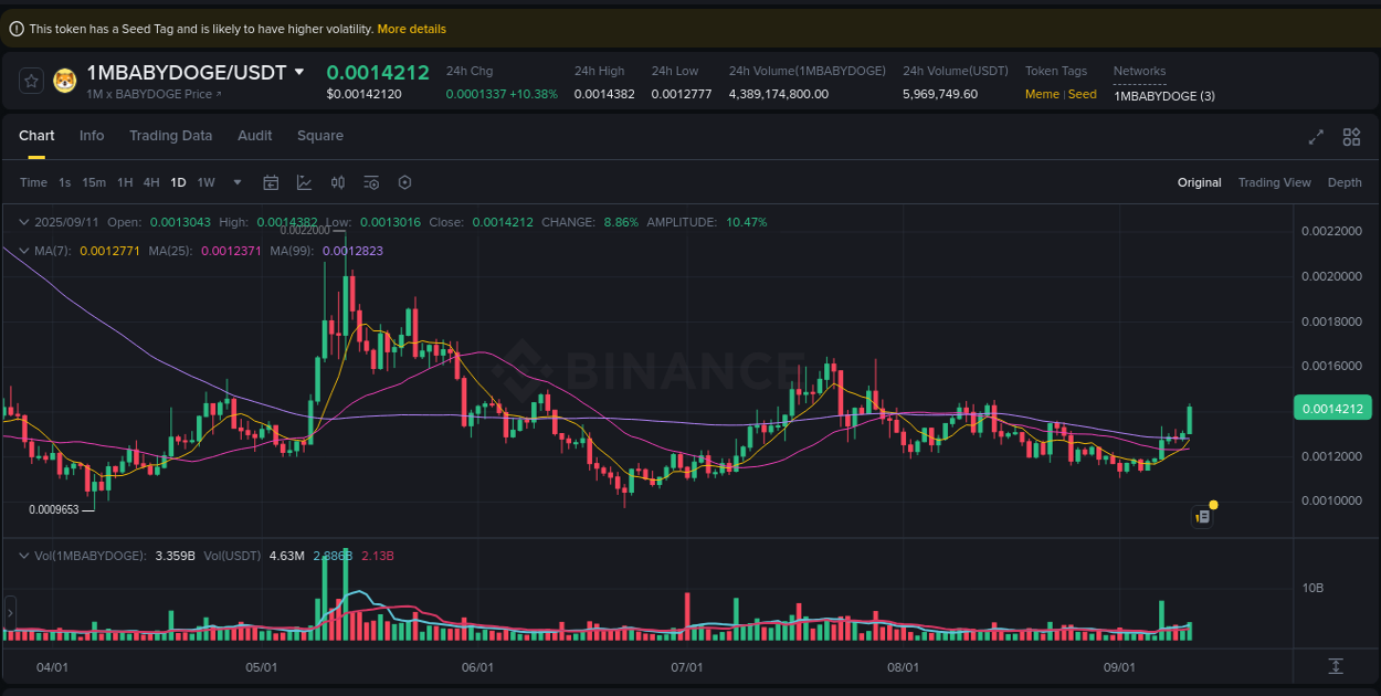 Crypto pump report: 1MBABYDOGE on Binance, 11 September 2025, 14:07