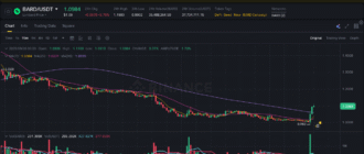 report 20250926 0003 - Report of coin pump on Binance - 26 September 2025