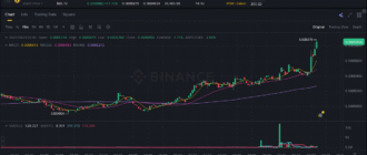 report 20250929 0258 - Report of coin pump on Binance (BTC pairs) - 29 September 2025