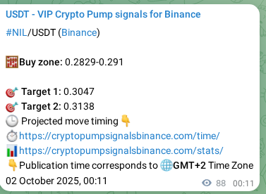 Binance trading signal proof for NIL pump, 02 October 2025, 02:38 Binance trading signal proof for NIL pump, 02 October 2025, 02:38