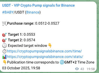 Verify technical execution: BABY signal performance proof on Binance, 03 October 2025, 21:10 Technical authentication: BABY signal execution proof on Binance, 03 October 2025, 21:10