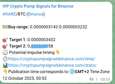 Binance pump signal proof for RARE on 12 October 2025, 00:55