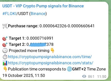 FLOKI pump verification image from Binance, 20 October 2025, 11:43