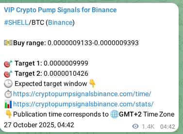 Binance signal verification for SHELL pump, 28 October 2025, 20:16