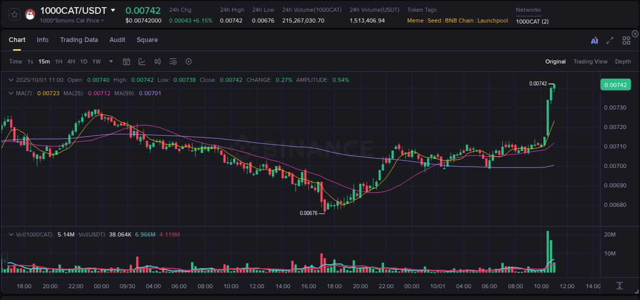 Review algorithmic signals: 1000CAT price surge on Binance, 01 October 2025, 11:08 Algorithmic detection: 1000CAT price explosion on Binance, 01 October 2025, 11:08