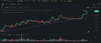 report 20251002 0017 - Report of coin pump on Binance - 02 October 2025