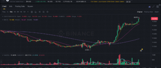 report 20251006 0032 - Report of coin pump on Binance - 06 October 2025