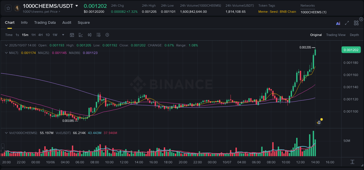 View trading insights for 1000CHEEMS pump on Binance, 07 October 2025, 14:05 Binance trading insights for 1000CHEEMS pump, 07 October 2025, 14:05
