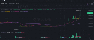 report 20251009 0237 - Report of coin pump on Binance (BTC pairs) - 09 October 2025