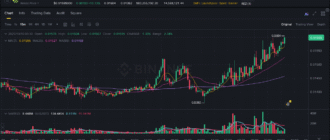 report 20251010 0039 - Report of coin pump on Binance - 10 October 2025