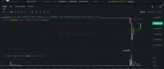 report 20251011 0213 - Report of coin pump on Binance (BTC pairs) - 11 October 2025