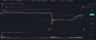 report 20251011 1526 - Report of coin pump on Binance - 11 October 2025