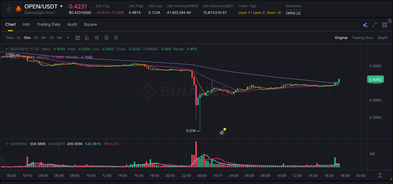 Discover the Binance pump data for OPEN at 11 October 2025, 17:25 Binance pump overview for OPEN, captured at 11 October 2025, 17:25