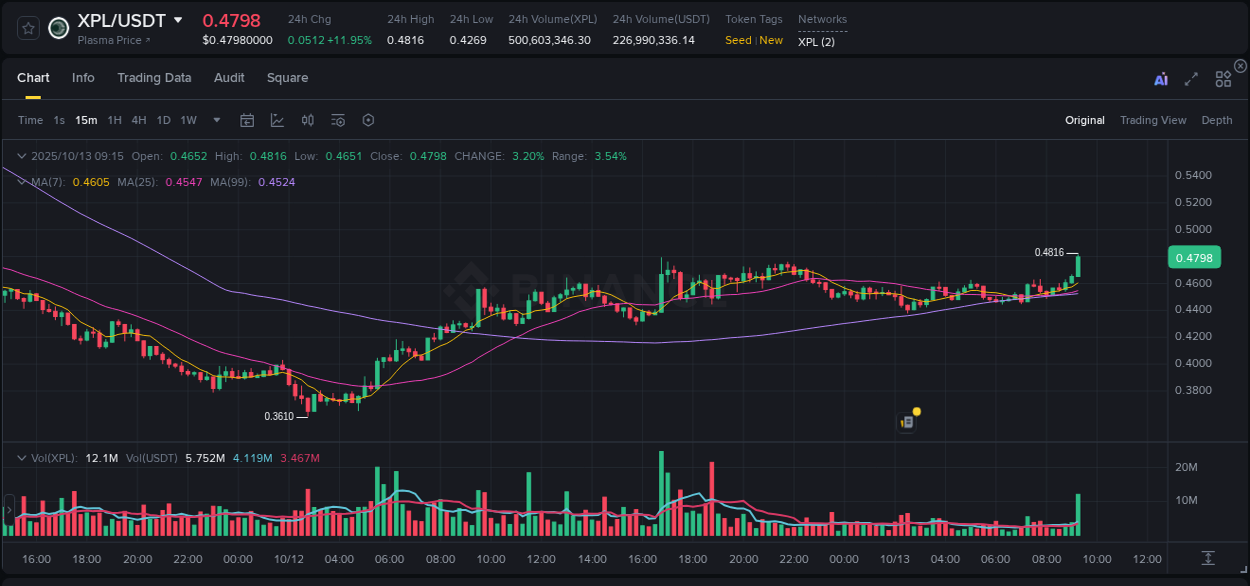 Explore market dynamics for XPL on Binance at 13 October 2025, 09:29 Market dynamics report: XPL on Binance at 13 October 2025, 09:29
