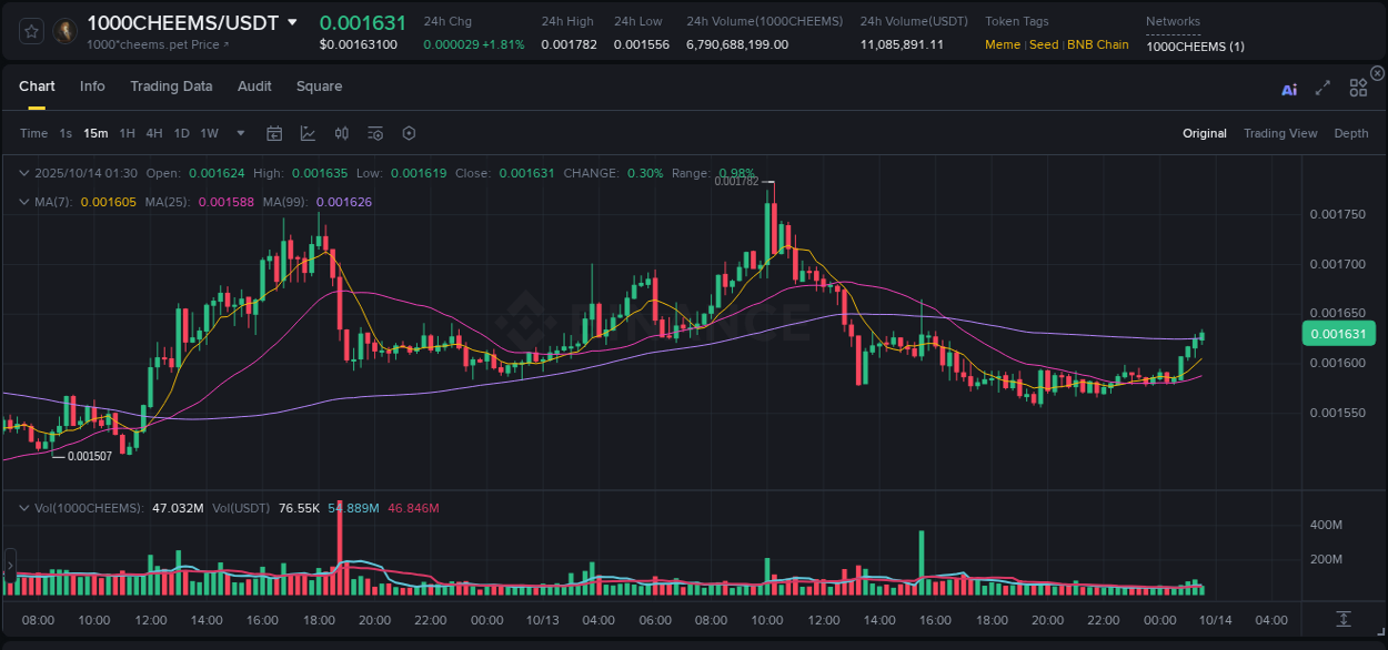 Detailed report of 1000CHEEMS's pump on Binance at 14 October 2025, 01:37