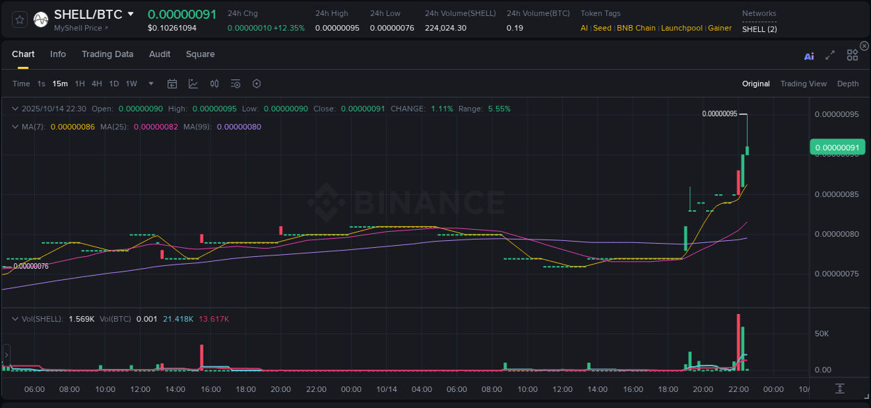 Binance trading report for SHELL pump, 14 October 2025, 22:31 Binance trading report for SHELL pump, 14 October 2025, 22:31