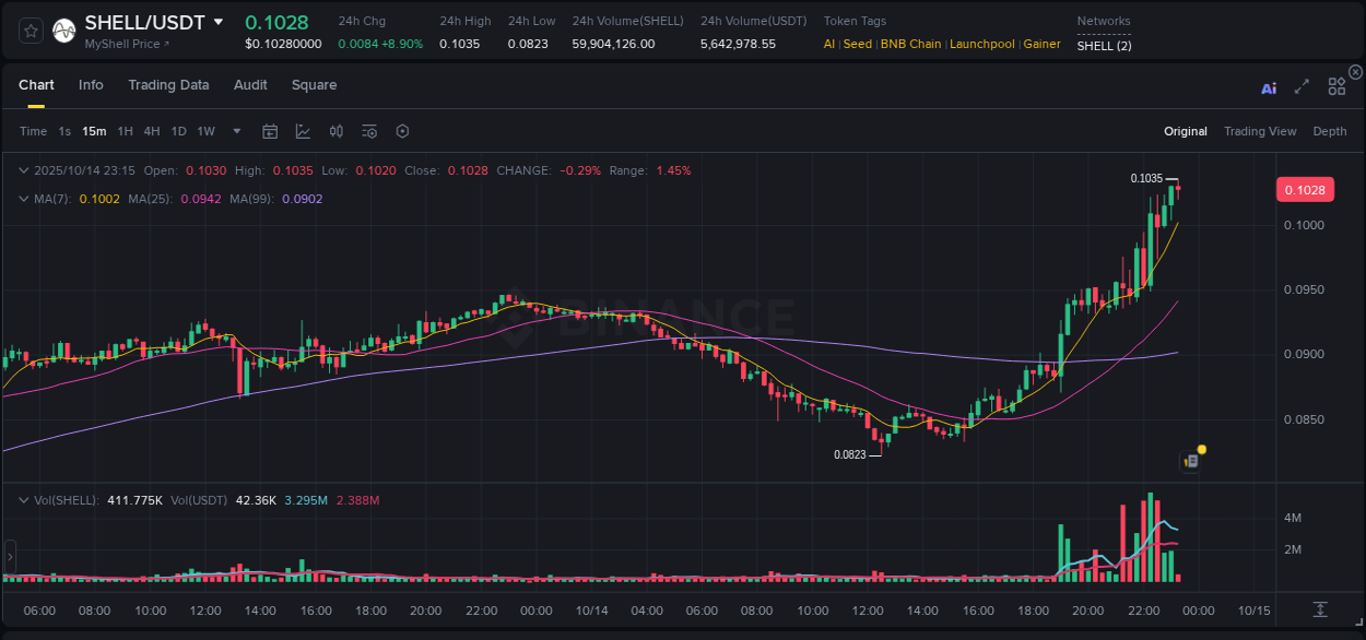 Binance trading data for SHELL pump, 14 October 2025, 23:16