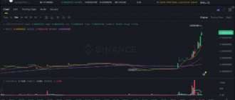 report 20251015 0001 - Report of coin pump on Binance (BTC pairs) - 15 October 2025