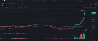report 20251015 0002 - Report of coin pump on Binance - 15 October 2025