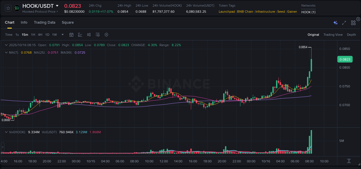 Trading insight: HOOK pump report from Binance, 16 October 2025, 08:20 Trading insight: HOOK pump report from Binance, 16 October 2025, 08:20
